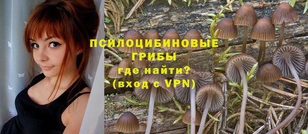 шишки Абдулино