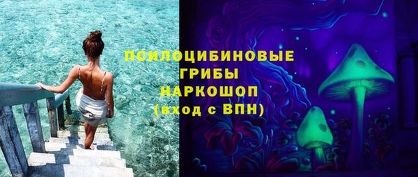 шишки Абдулино