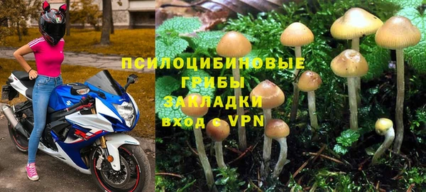 соль ск Абаза